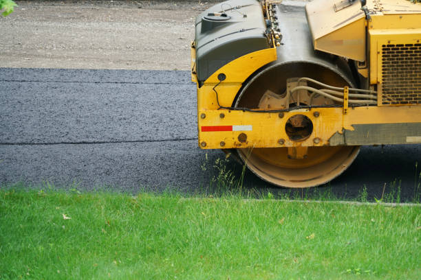 Best Professional Driveway Pavers  in Beach Haven West, NJ