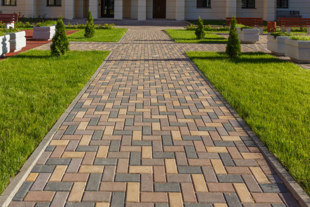 Best Local Driveway Pavers  in Beach Haven West, NJ